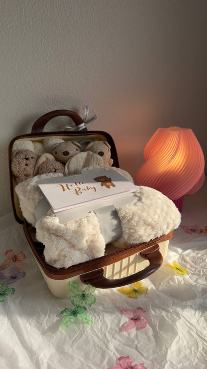 Baby Gift Suitcase